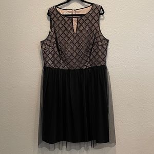 Contrast Black Lace Dress